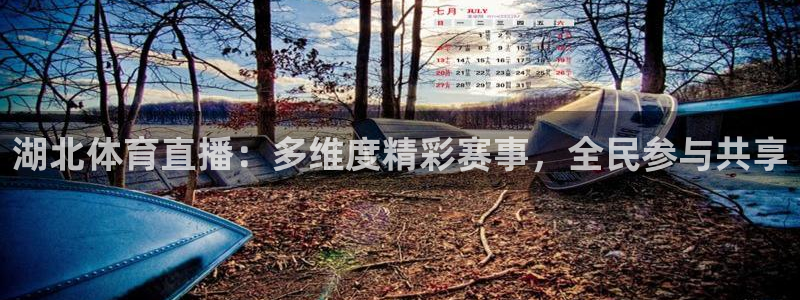湖北体育直播：多维度精彩赛事，全民参与共享