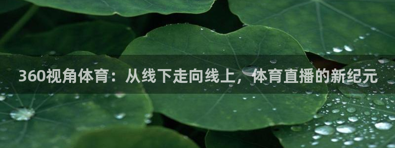 360视角体育：从线下走向线上，体育直播的新纪元