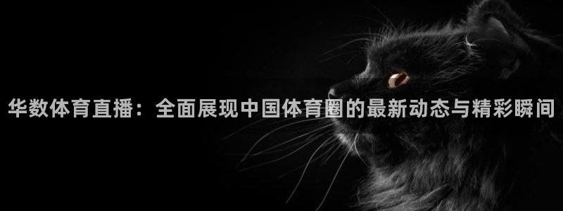 华数体育直播：全面展现中国体育圈的最新动态与精彩瞬间