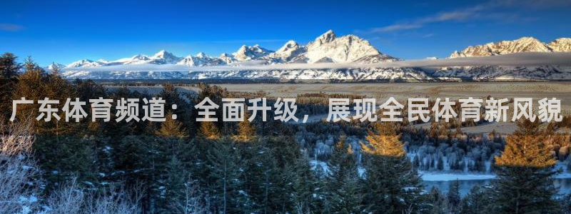 广东体育频道：全面升级，展现全民体育新风貌