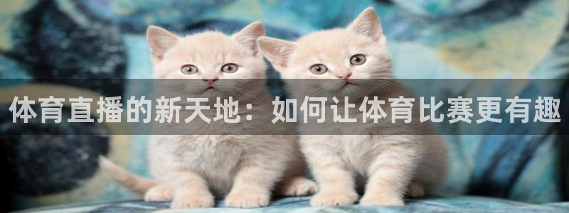体育直播的新天地：如何让体育比赛更有趣