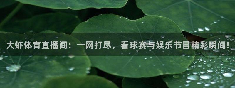 大虾体育直播间：一网打尽，看球赛与娱乐节目精彩瞬间!