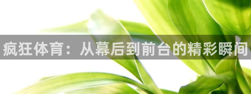 疯狂体育：从幕后到前台的精彩瞬间